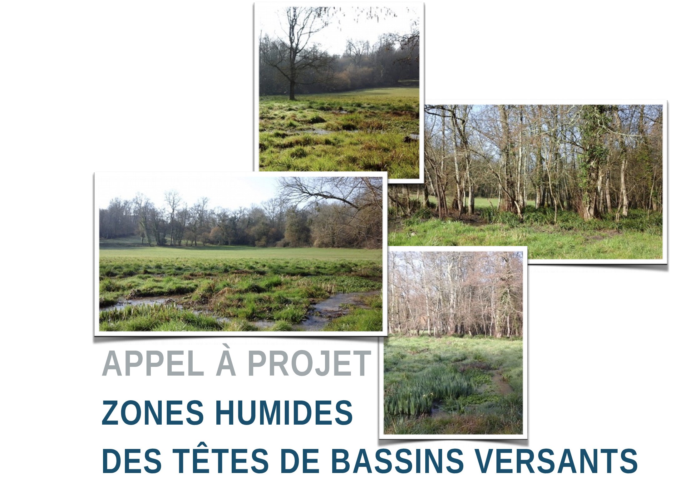 Appel projet pour la restauration des zones humides des têtes de bassins versants